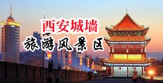 骚屄迅雷中国陕西-西安城墙旅游风景区