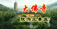 欧美大鸡巴肏骚屄中国浙江-新昌大佛寺旅游风景区